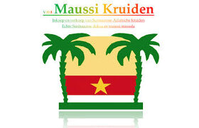 Mausi