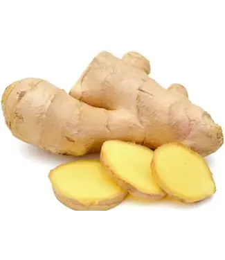 Toko Ayat Gember Vers (Ginger) China