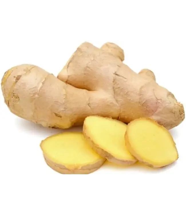 Gember Vers (Ginger) China