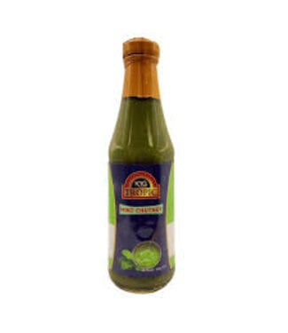 KRG Tropic KRG Mint Chutney 340g