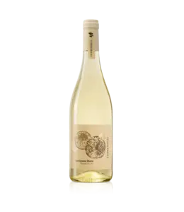 Terre di Rai Sauvignon Blanc 2024