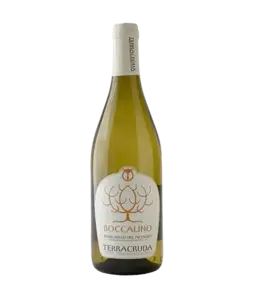 Terracruda Boccalino 2024
