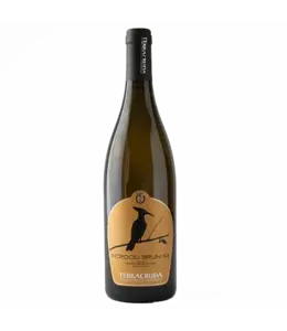 Terracruda Incrocio Bruni 54 2024