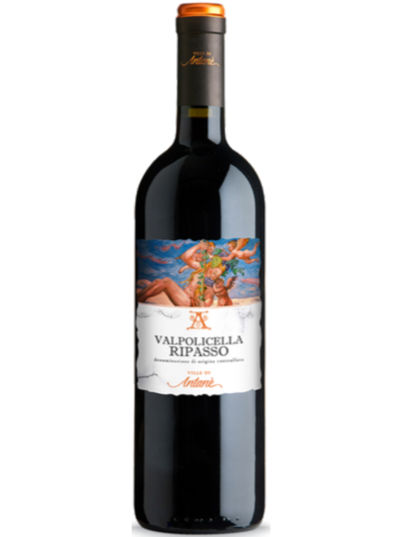 Le Ville di Antané Valpolicella Ripasso 2021