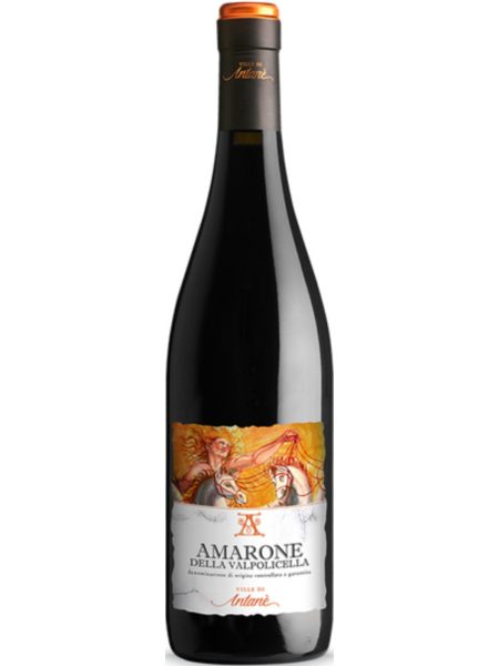 Le Ville di Antané Amarone Della Valpolicella 2020