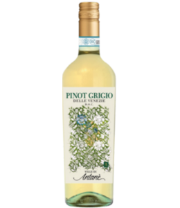 Le Ville di Antané Pinot Grigio Morris 2024