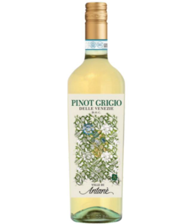 Le Ville di Antané Pinot Grigio Morris 2024