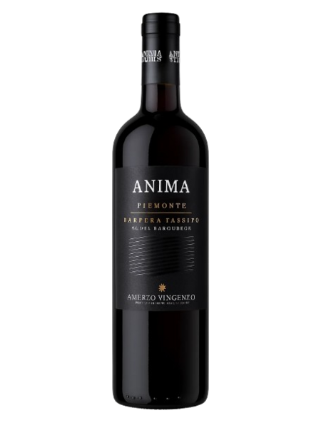 Amerio Vincenzo Anima Barbera Passito 2023