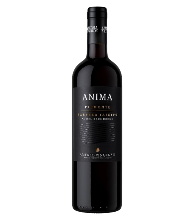 Amerio Vincenzo Anima Barbera Passito 2023