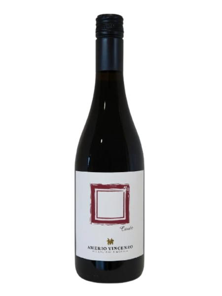 Amerio Vincenzo Cuveé Rosso 2024