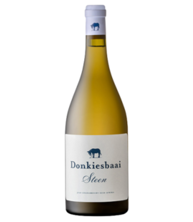 Donkiesbaai Steen 2024