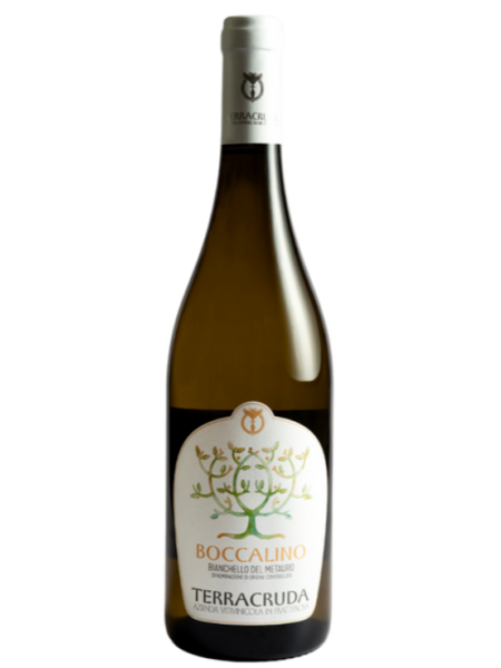 Terracruda Boccalino 2024