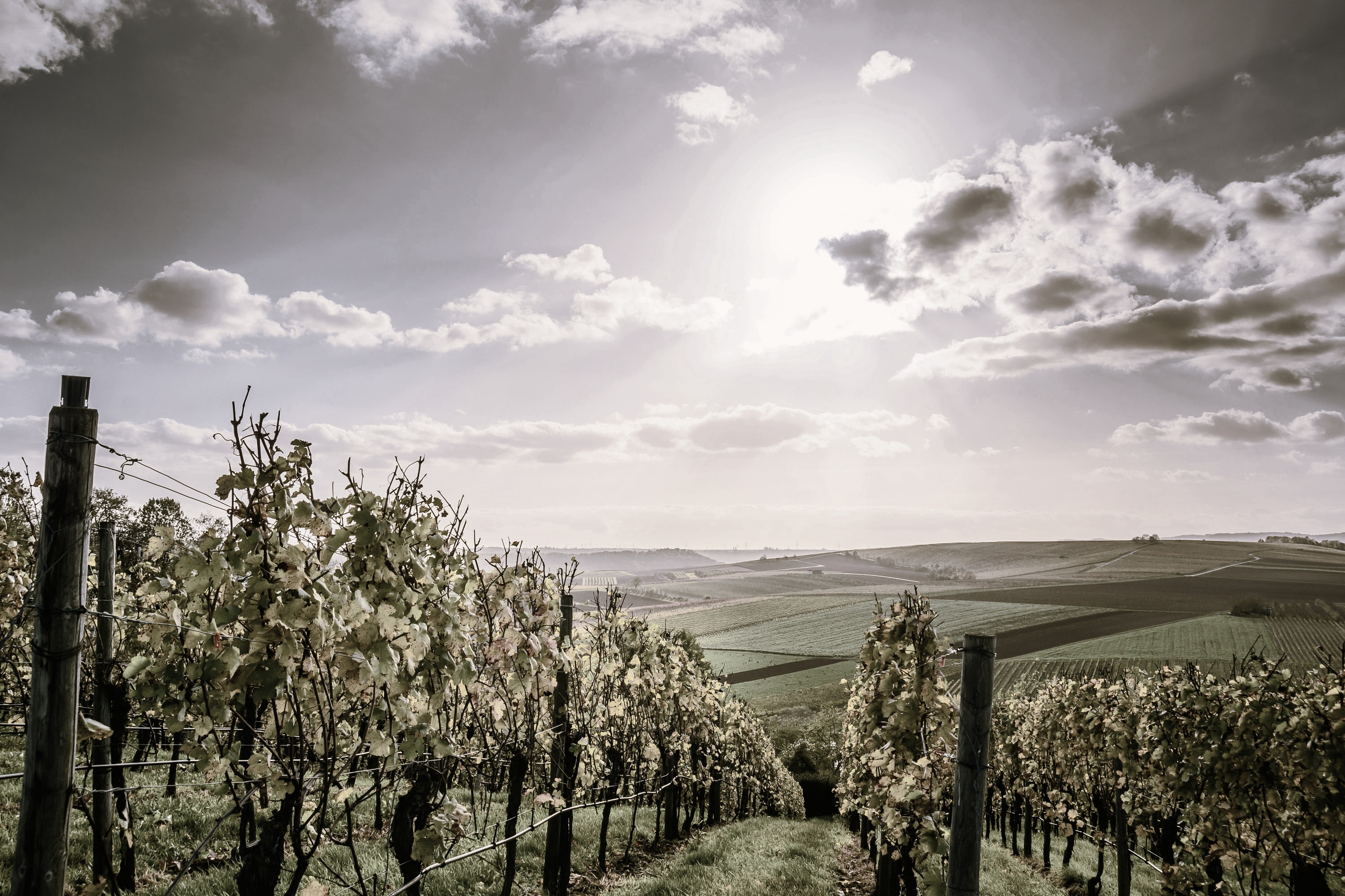 Geselecteerd op kwaliteit, visie, traditie en geschiedenis!