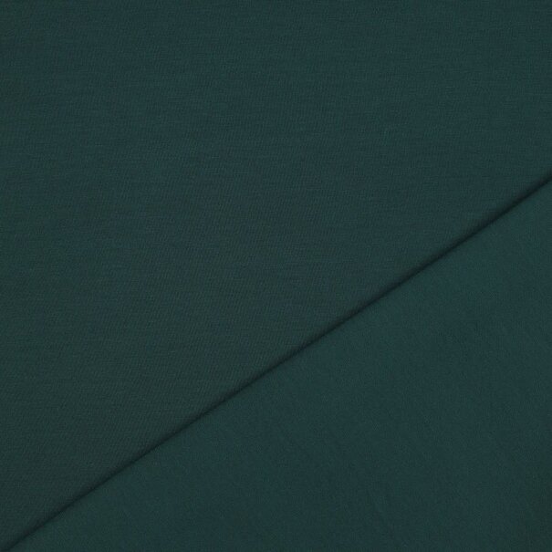 Punta di roma - flessengroen