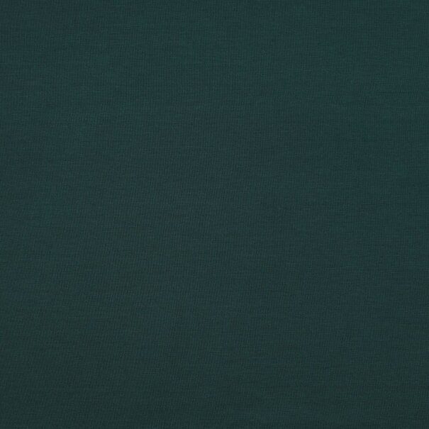 Punta di roma - flessengroen