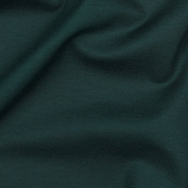 Punta di roma - flessengroen