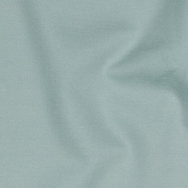 Punta di roma - mint