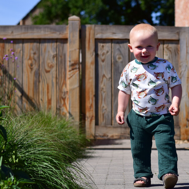 Bel'Etoile Bel'etoile - Nio & Nia (80-158)