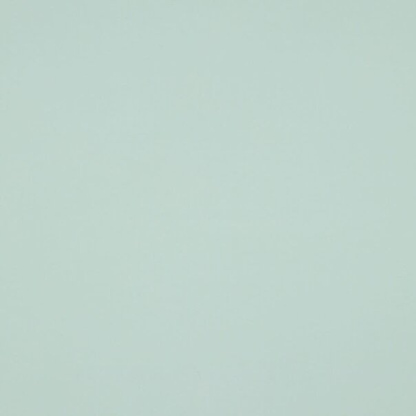 Lenzing ecovero - munt