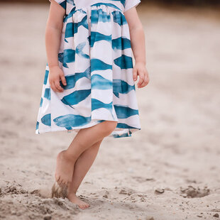 SYAS32 Phishies - Katoen