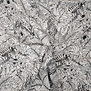 Black Elegance - viscose
