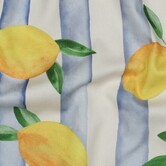 Canvas citroen - blauw