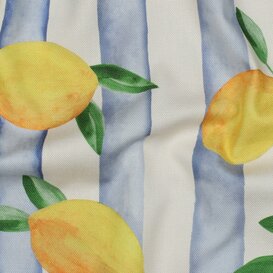 Canvas citroen - blauw