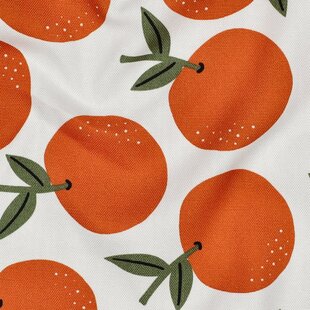 Canvas fruit - appelsien
