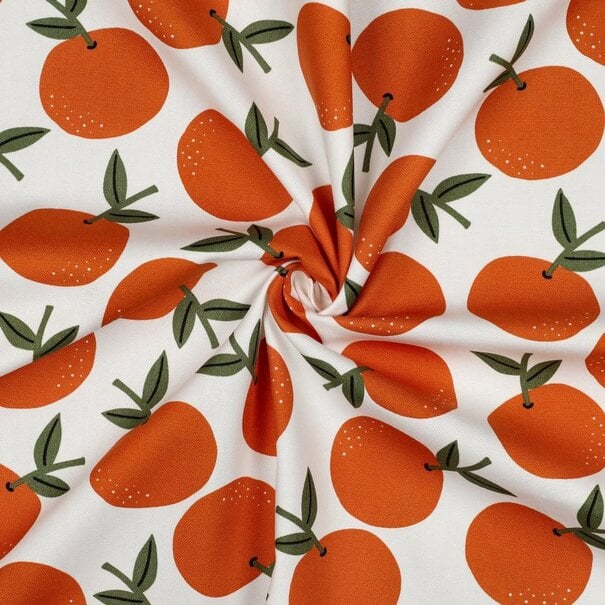 Canvas fruit - appelsien