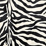 Coupon 2M Zebra velboa SV26