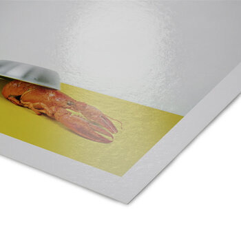 Fine Art Print - Hahnemuhle Photo Rag Metallic