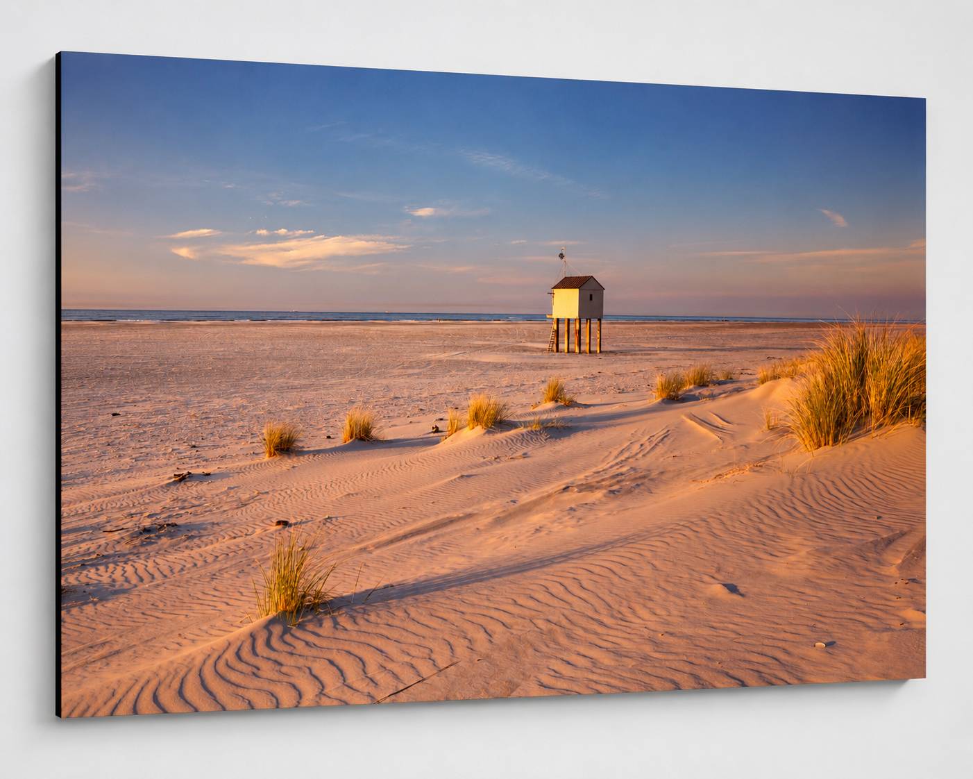 Dibond fotoafdruk 60 x 80 cm, 20 euro in prijs verlaagd