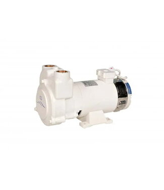 Gianneschi SELF-PRIMING LIQUID-FILLED RING PUMP CP 550 WATT 24