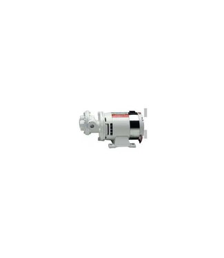 Gianneschi IN 12 24VOLT 0,25KW 10L/20M