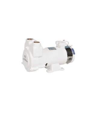 Gianneschi SELF-PRIMING LIQUID-FILLED RING PUMP CP 200 WATT 24