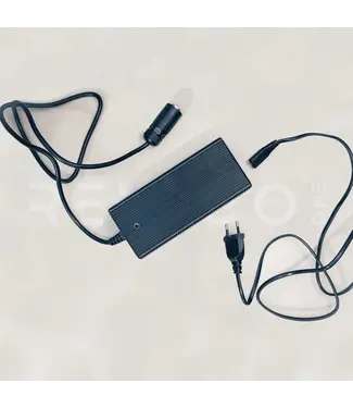 REMIGO Standard charger AC - 5A, 210w