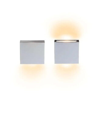 BCM PORTLAND40 1L S.STEEL 1.5W10-30V 3000K IP66