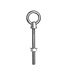 OOGBOUT MET RING EN MOER RVS<span> - </span>M10x100 mm