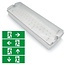 5,5 Watt Aufbau-Notleuchte OTG-DD-4