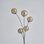Moderne Stehlampe Claire 5-flammig in Gold