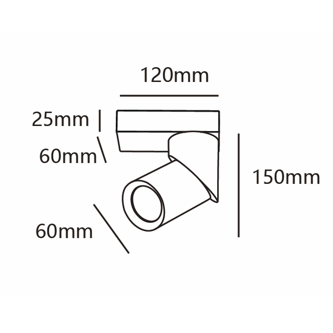Industrieller schwarzer Deckenstrahler - Eve