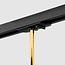 Schienenstrahler 1-phasig Timeo, Schwarz und Gold