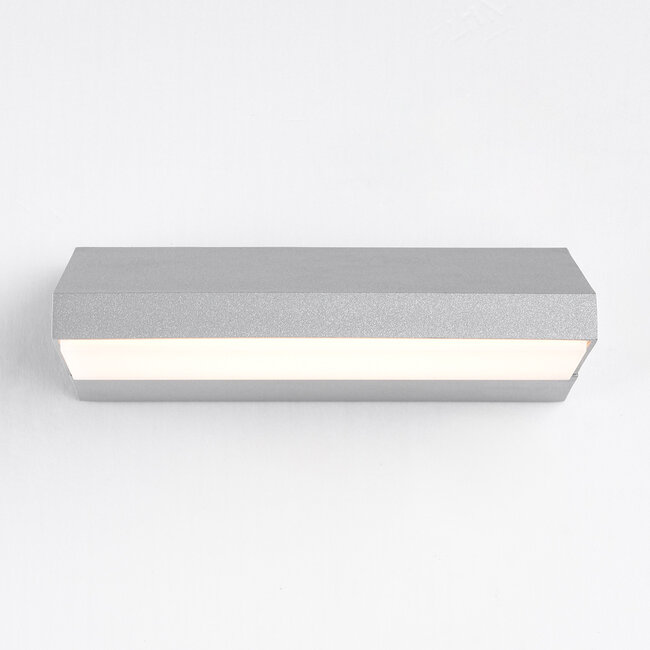 Drehbare Außenwandleuchte Argento - Silber mit integrierter LED