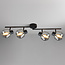 Zwarte plafondlamp met smoke glas en spiegeleffect, 4-lichts - Jenthe