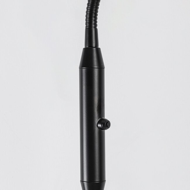 Stehlampe Lumina in Schwarz mit integrierten LEDs