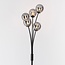 Stehlampe Claire 5-flammig in Schwarz mit Rauchglas