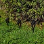 4er-Set schwarze Gartenstrahler mit Fernbedienung - neigbar und dimmbar