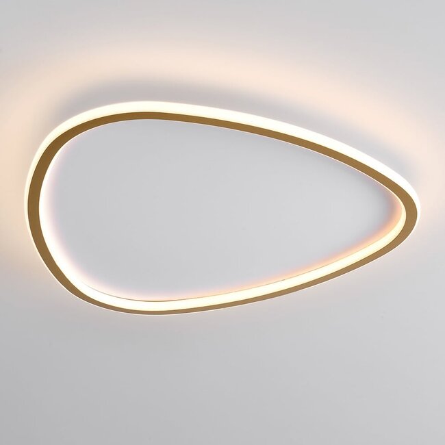 Deckenleuchte Rory mit dimmbaren LEDs