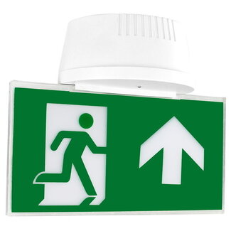 Ein- und Aufbau-Notbeleuchtung LXL-MM