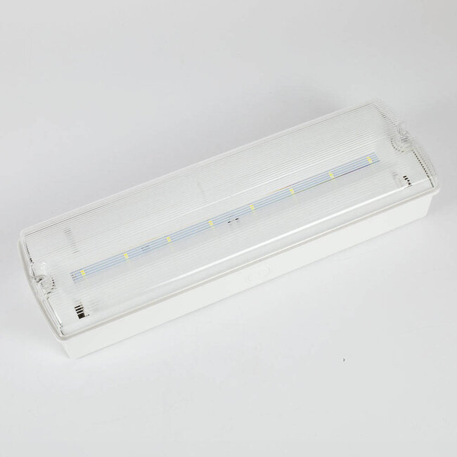 5 Watt Notleuchte mit 10 LEDs - DP-3